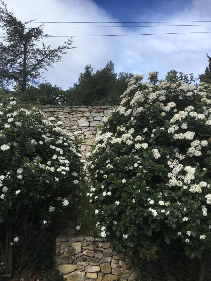 La Chambre Haute Et Son Spa Nimes Luaran gambar